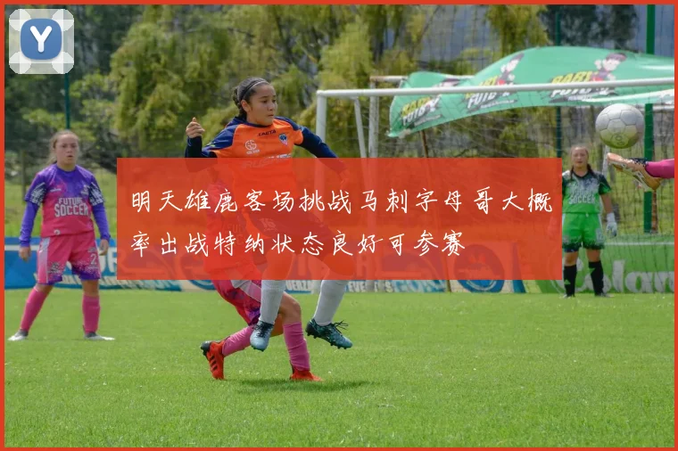 明天雄鹿客场挑战马刺字母哥大概率出战特纳状态良好可参赛